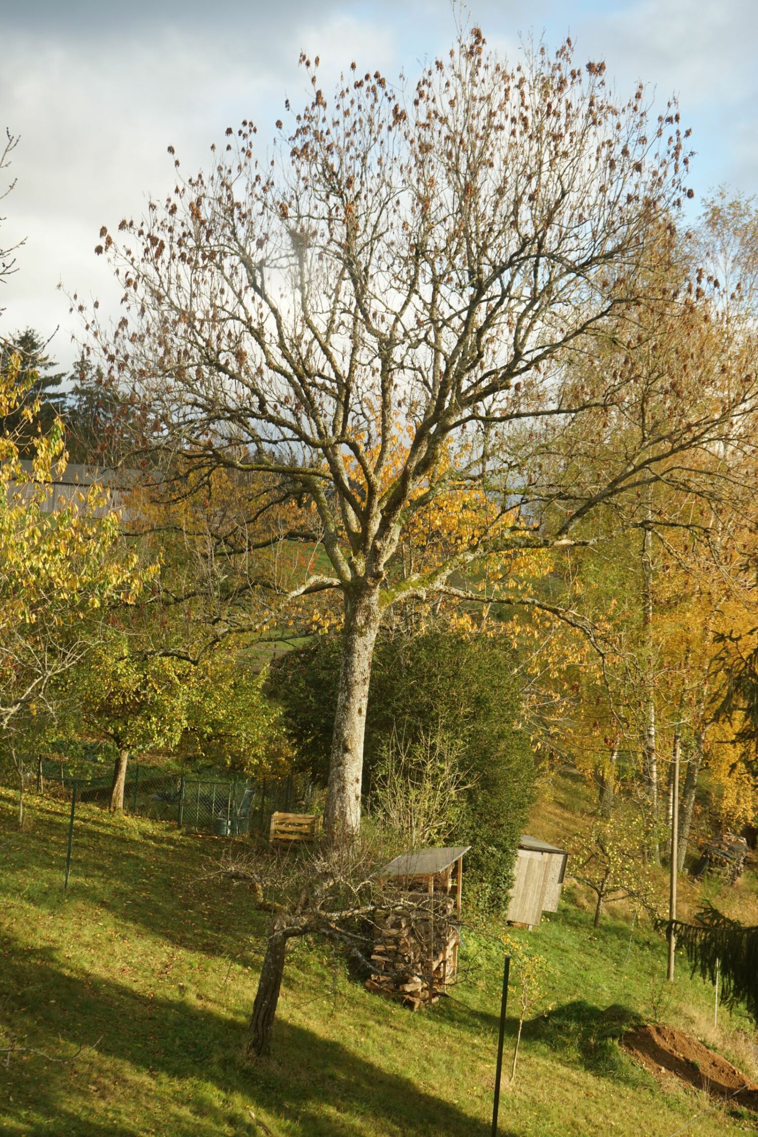 L34 Aussicht beim Duschen.jpg