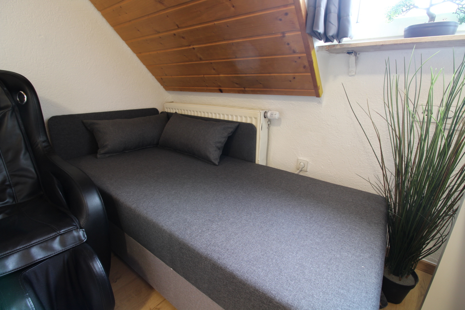 2024-11-14 - 401 sleeping couch.jpg