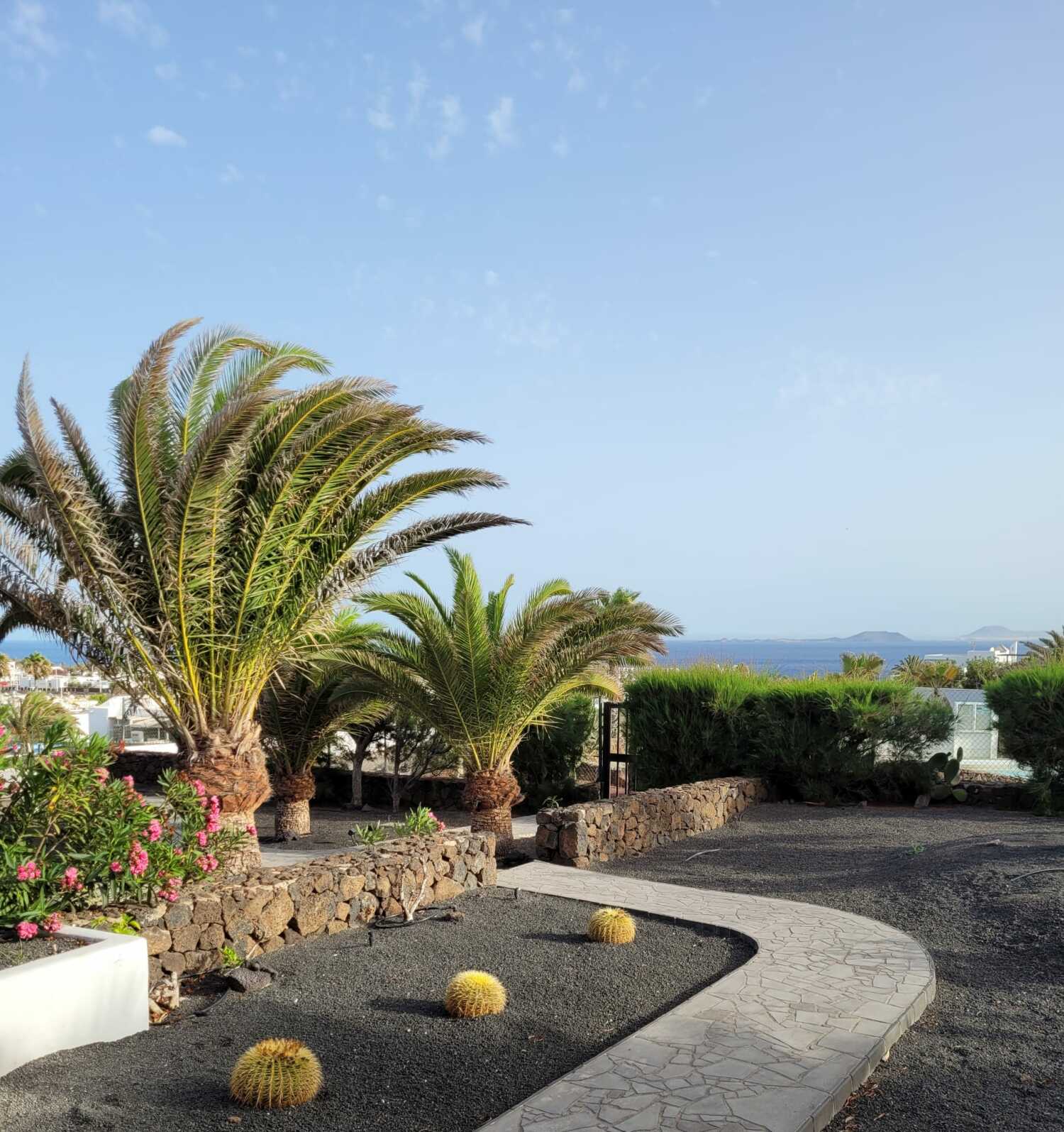 WhatsApp Image 2021-09-15 at 13.00.34.jpeg