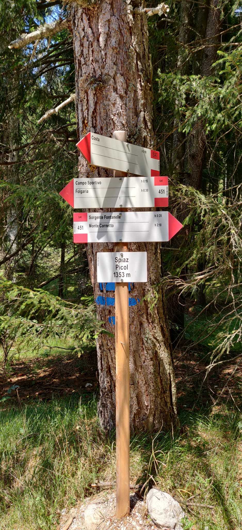 WhatsApp Image 2022-07-31 at 16.18.14.jpeg