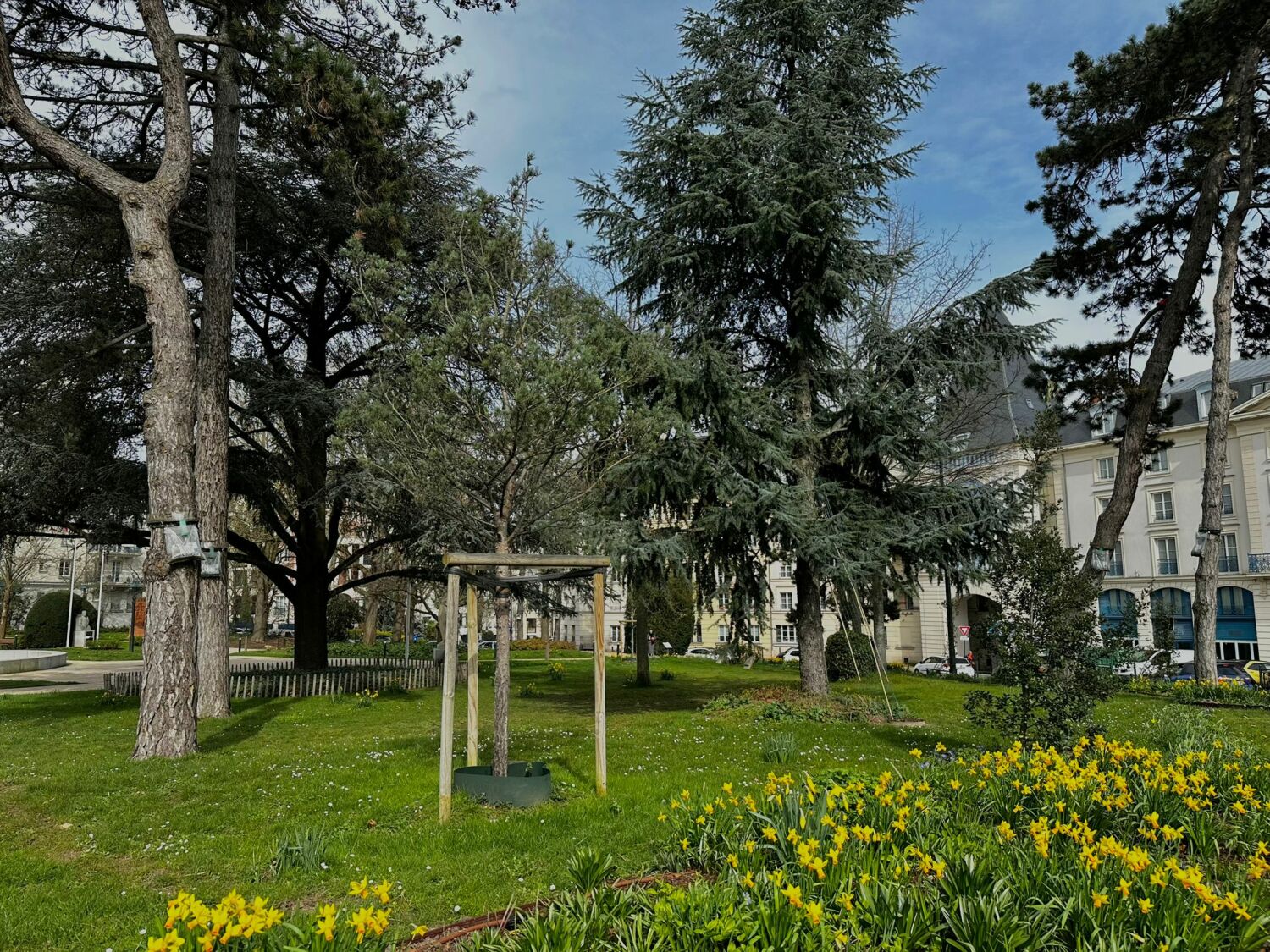 PHOTO-2024-03-09-15-03-07 4.jpg