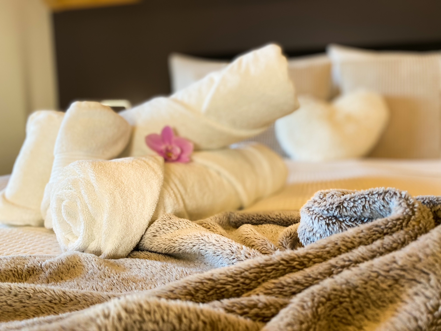 IMG_7426_jpg (1).jpg