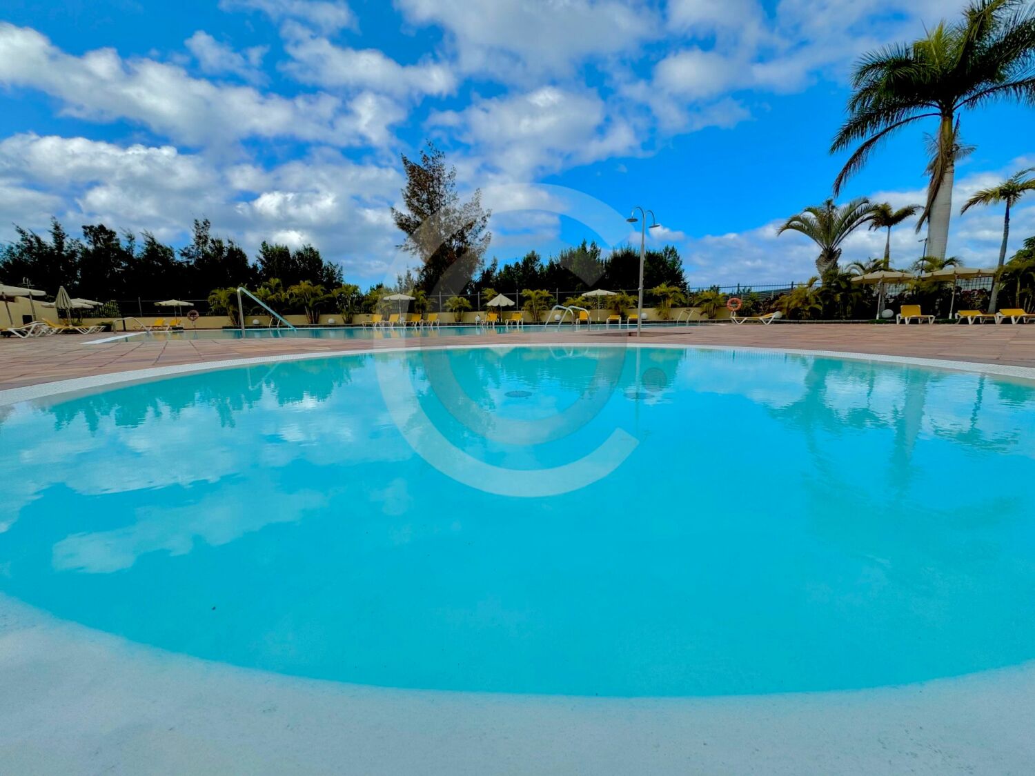 WhatsApp Image 2025-07-28 at 19.26.59 (5).jpeg