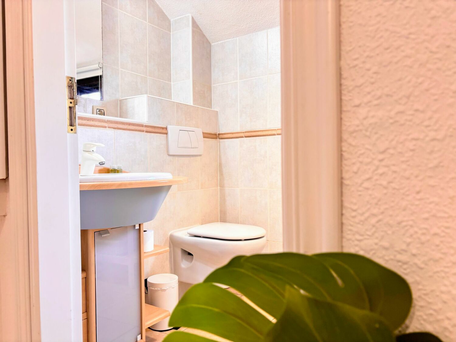 WhatsApp Image 2025-04-24 at 12.46.07 PM (1).jpeg