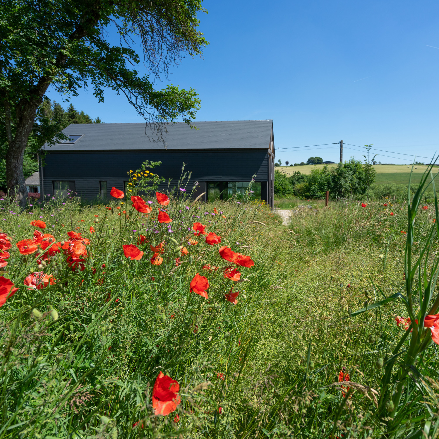 Arduenna Silva Web-08480.jpg