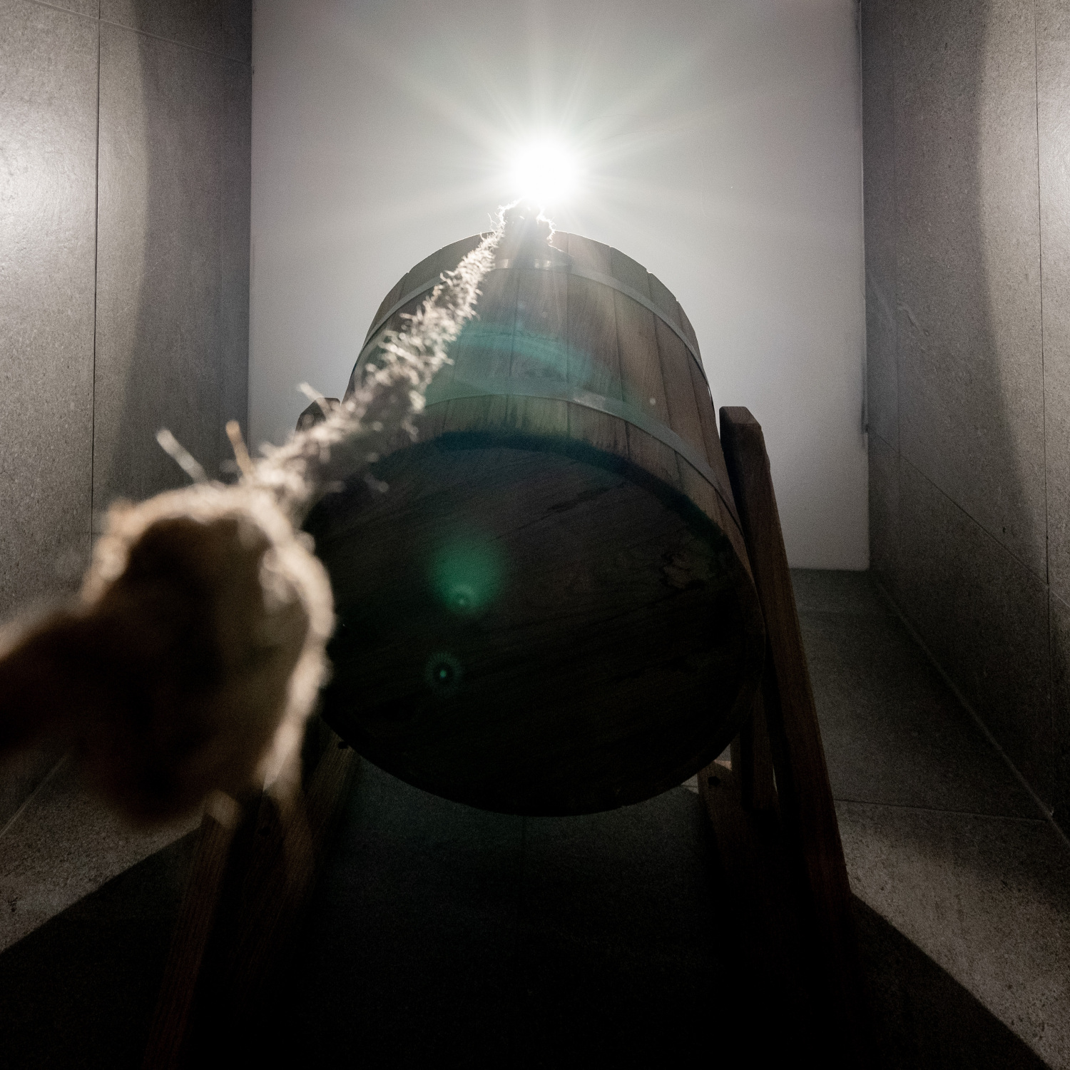 Bridge into the Nature Web-02855.jpg