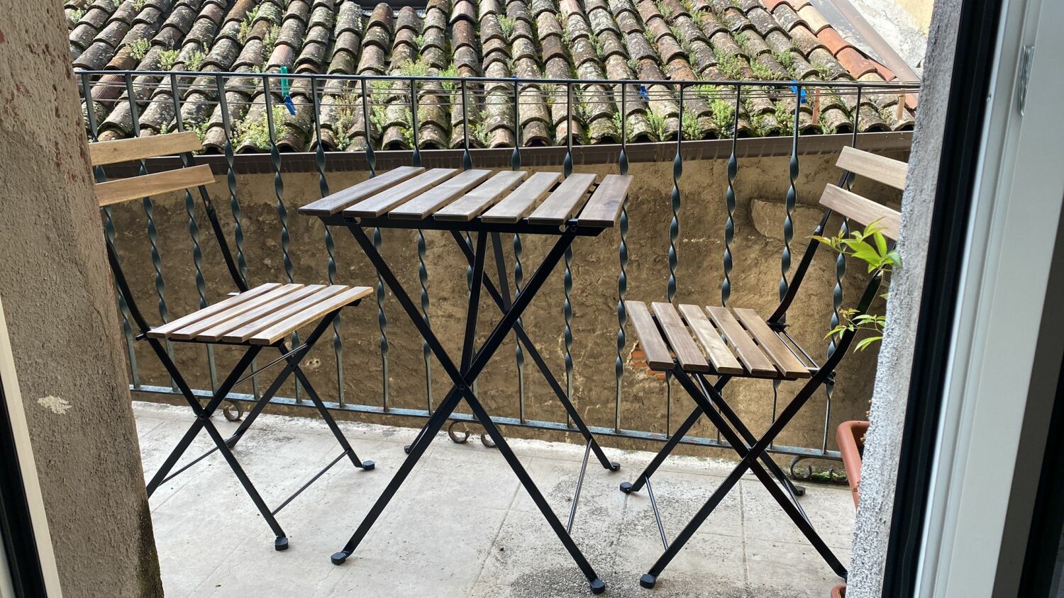 WhatsApp Image 2025-05-23 at 11.26.39.jpeg