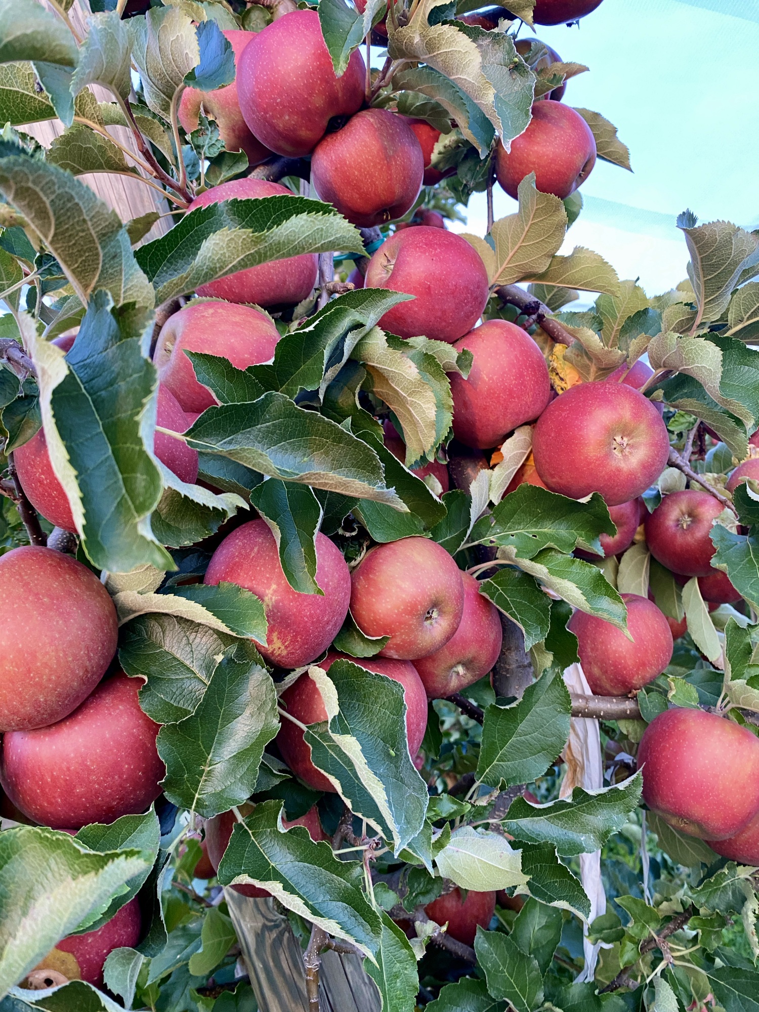 IMG_0366 reduziert.jpg