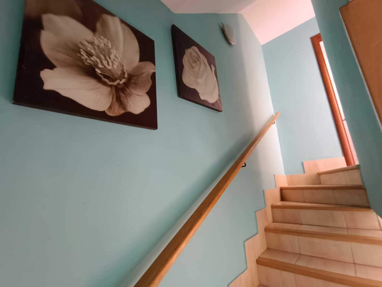 WhatsApp Image 2024-03-15 at 15.53.55.jpeg