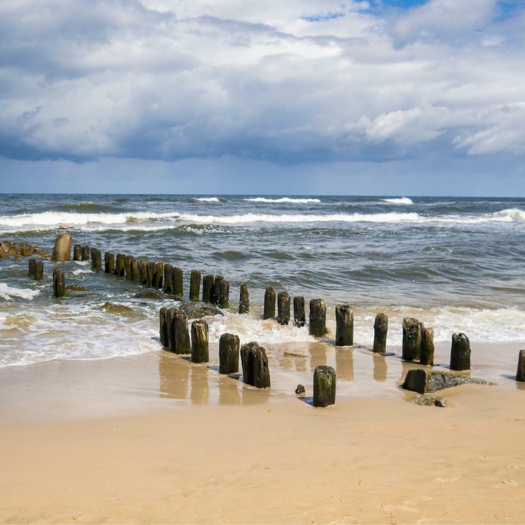 Design ohne Titel.jpg