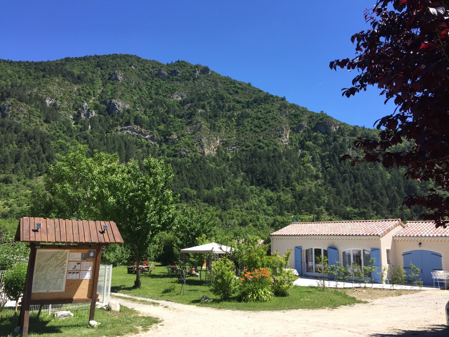 2016-06-23 11.59.13.jpg