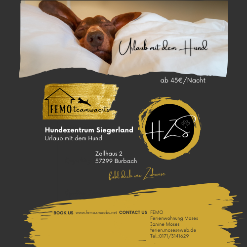 Kopie von Kopie von Kopie von Kopie von Minimalist Modern Kalligraphie Logo Design (1).png