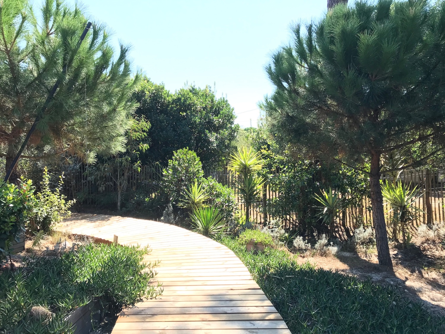 IMG_0996 - Copie.JPG