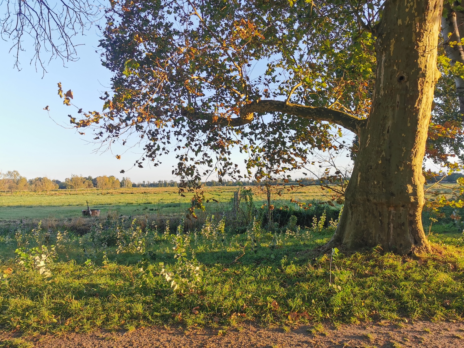 AA IMG_20240930_180414.jpg