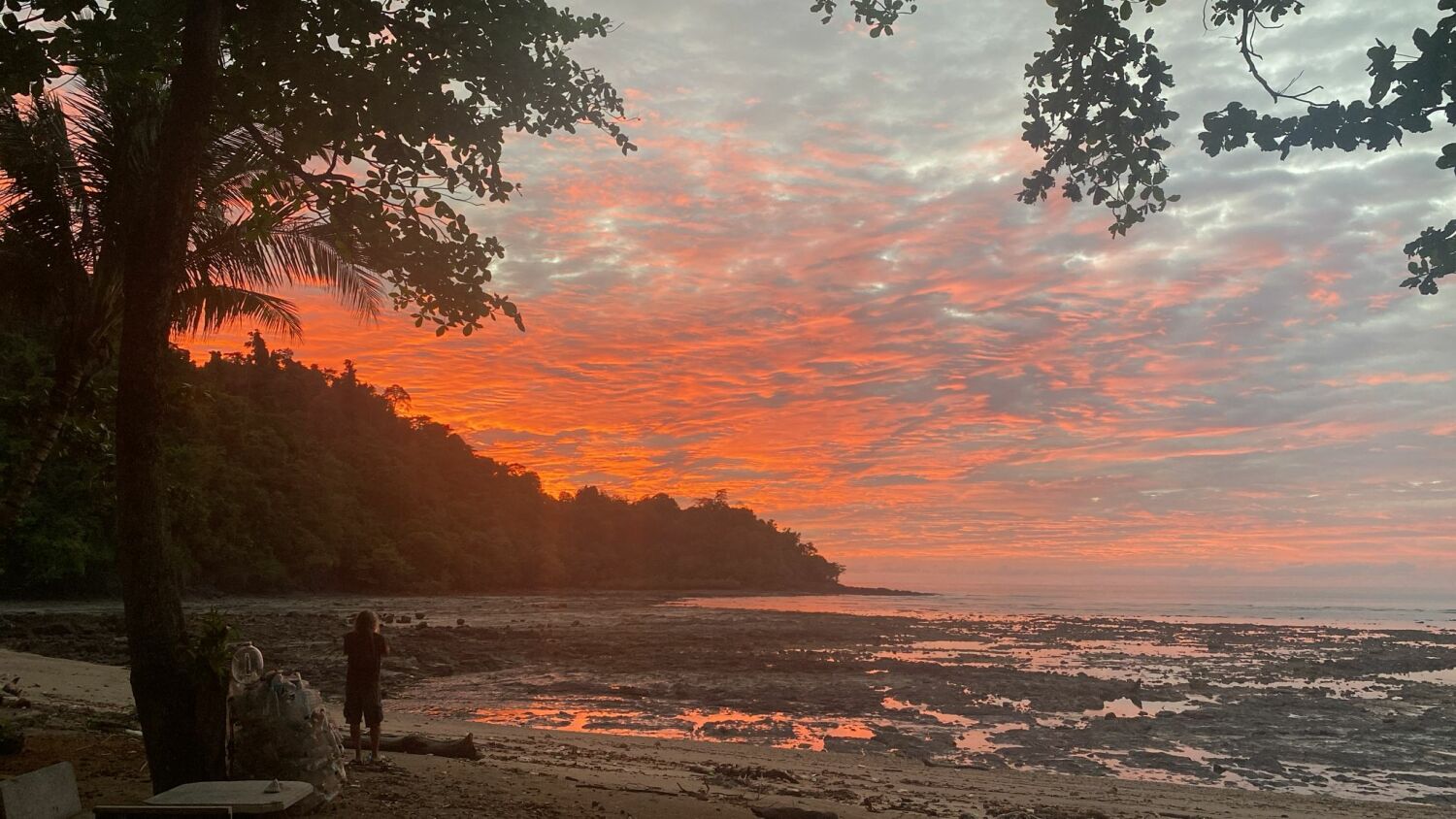 2024-10-20 13.11.31.jpg