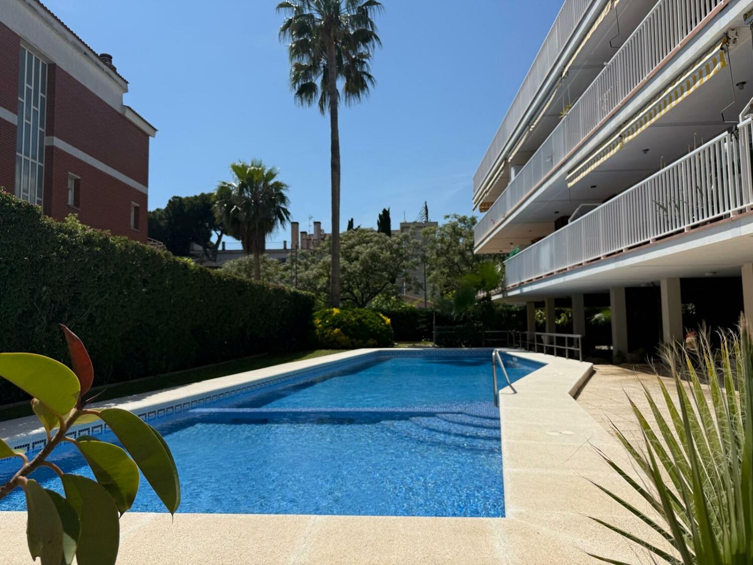 WhatsApp Image 2025-05-14 at 11.55.43 copia 2.jpeg