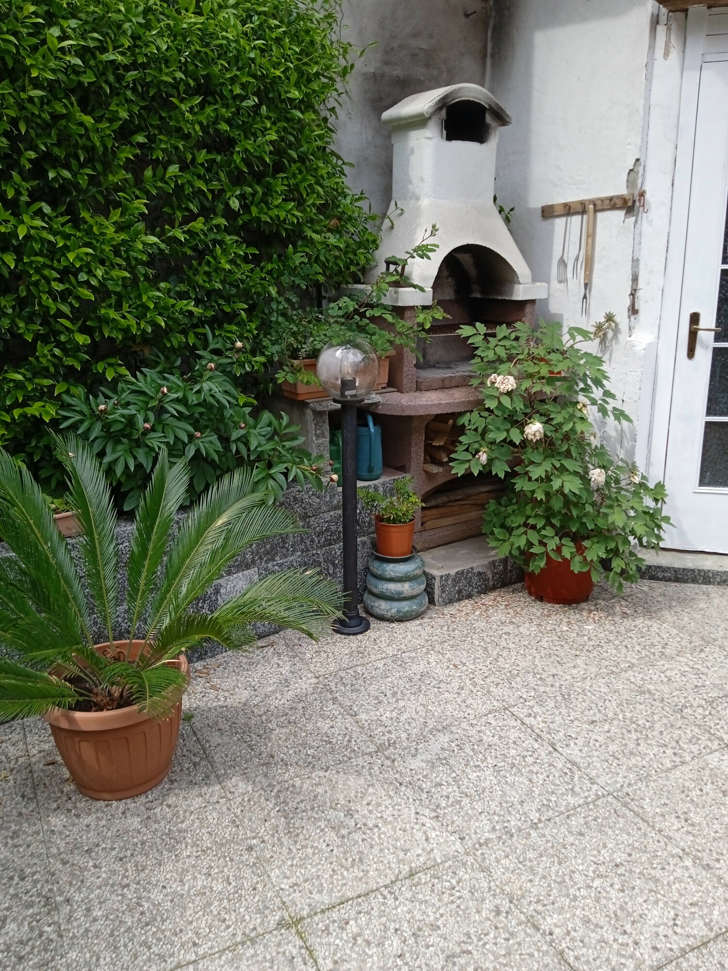 1652471068396 3mb.jpg