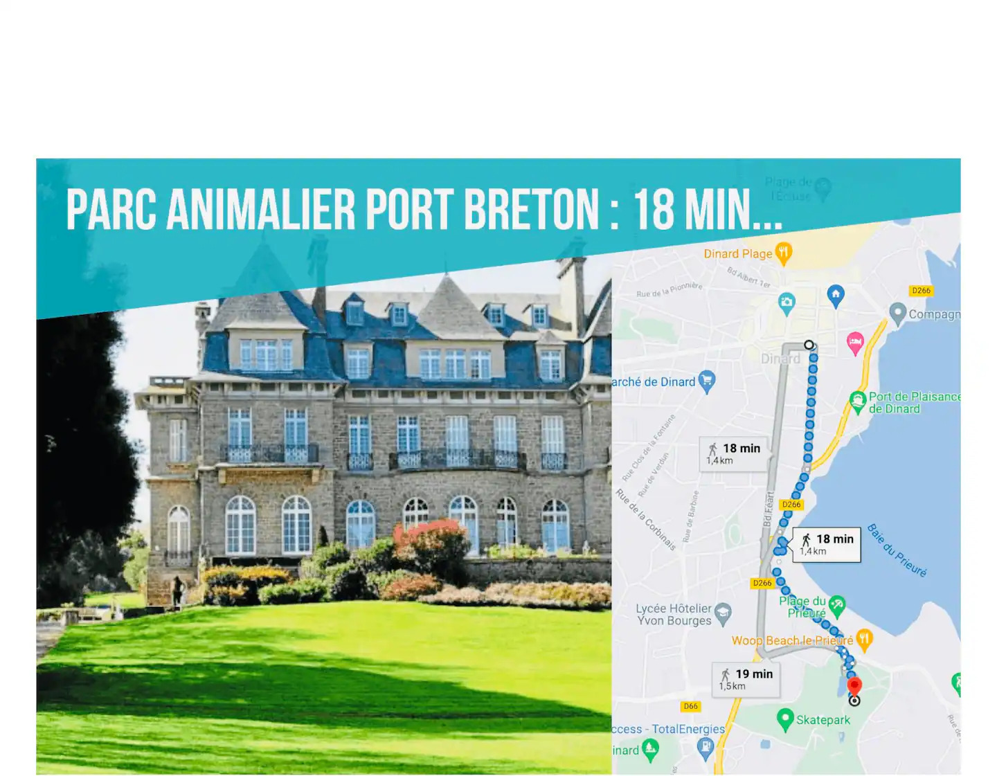 f2c8a88f-a54c-4bb9-8b31-acd88304c02d (1).jpg