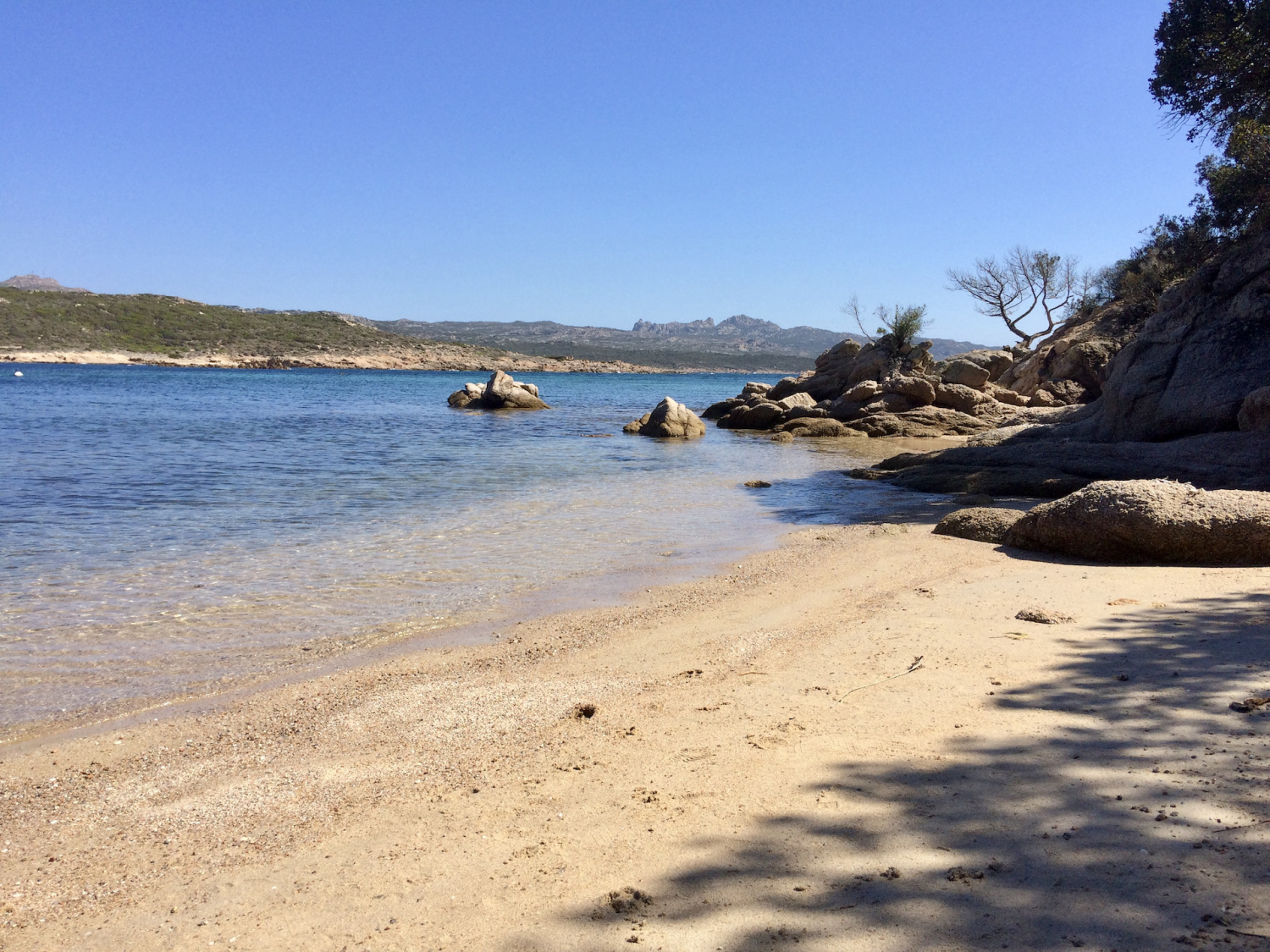 Testarella - IMG_2495 - Rp.jpg