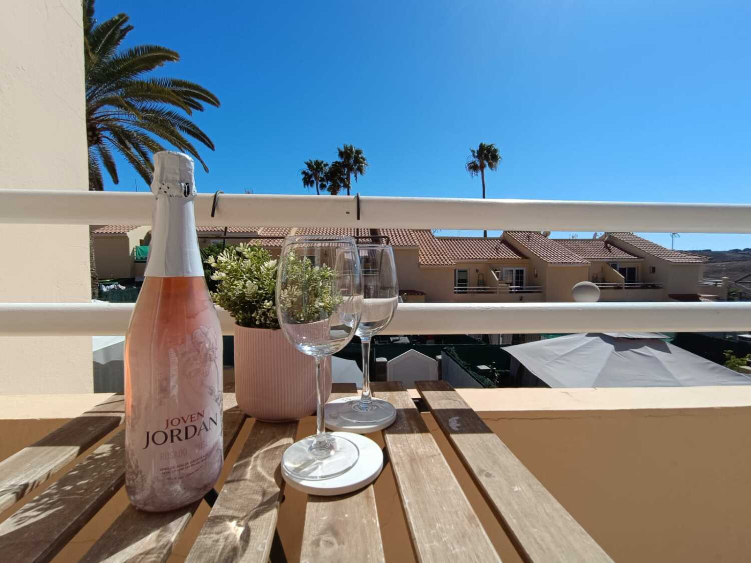 WhatsApp Image 2024-03-15 at 15.53.48 (1).jpeg