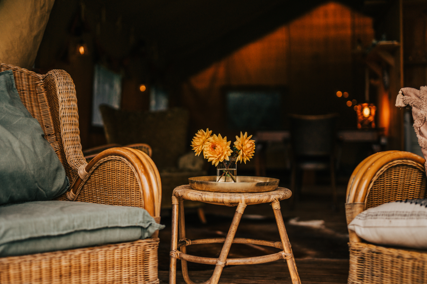 Thebrandwagon-25October 08, 2024173058.jpg