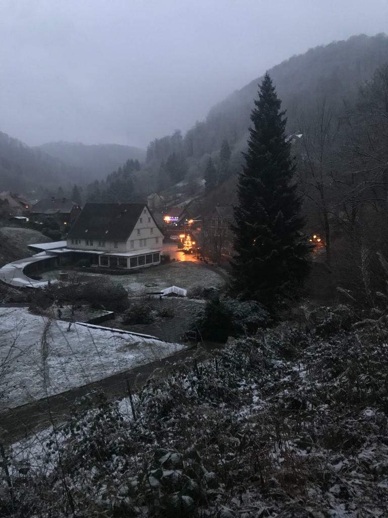 WhatsApp Image 2021-11-29 at 13.01.07 (1).jpeg