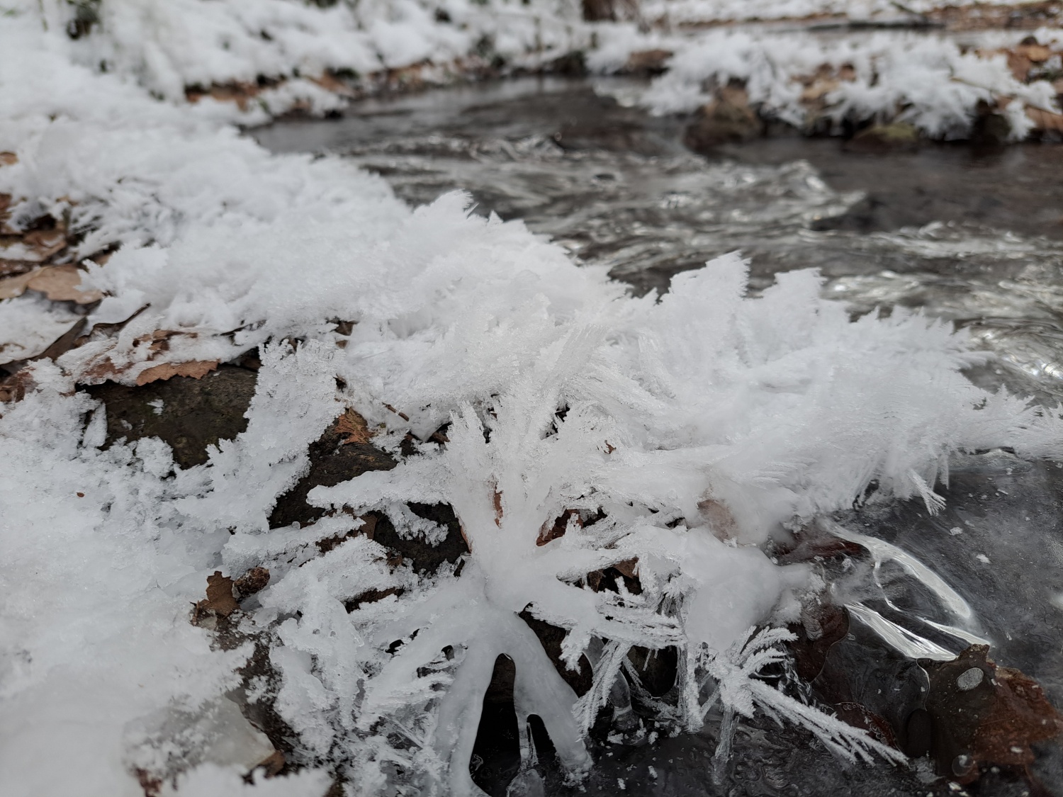 20221218_153052 (2).jpg