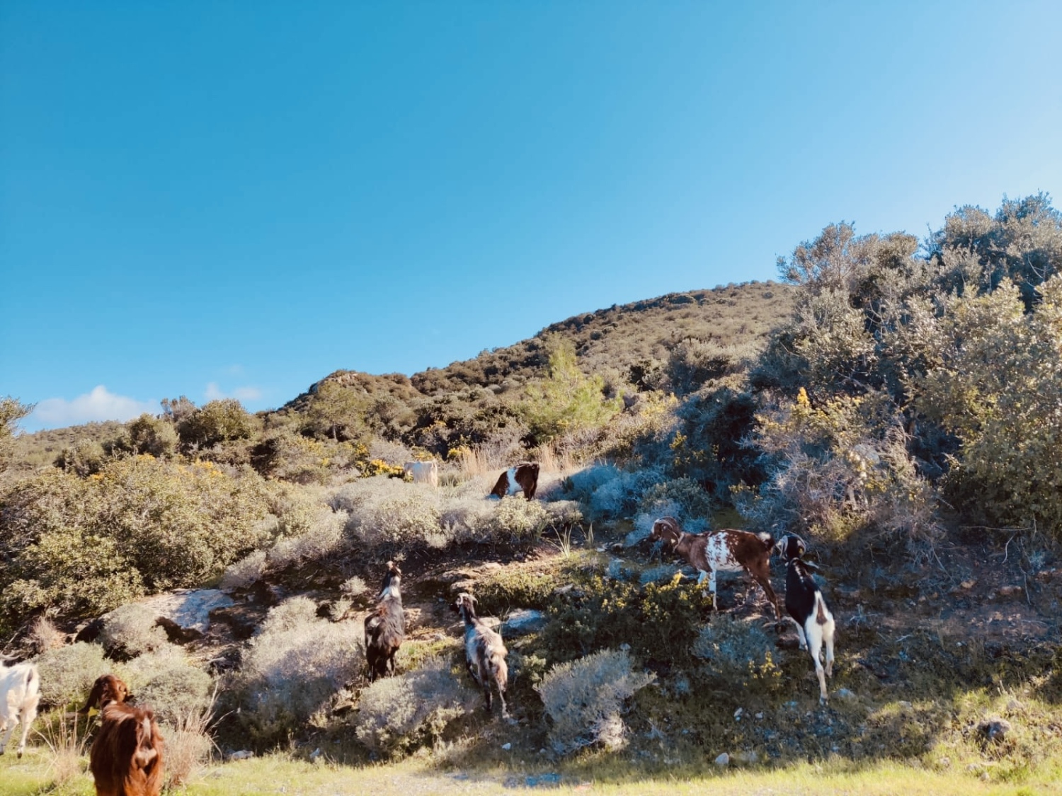 TOP BANNER image EXPLORE.jpg