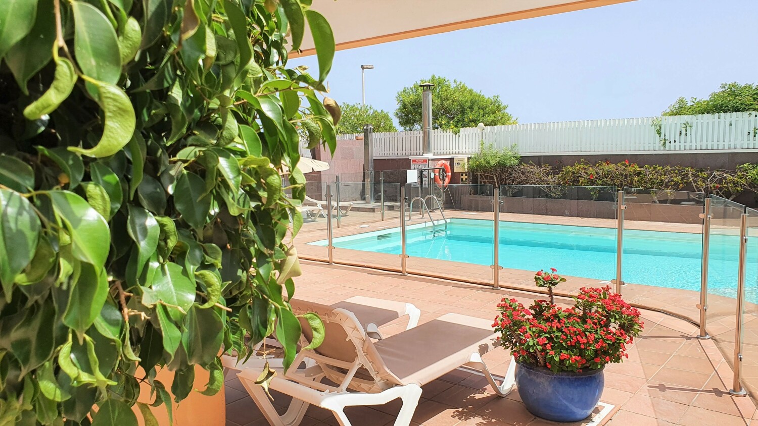 20210909_141646 ef.jpg