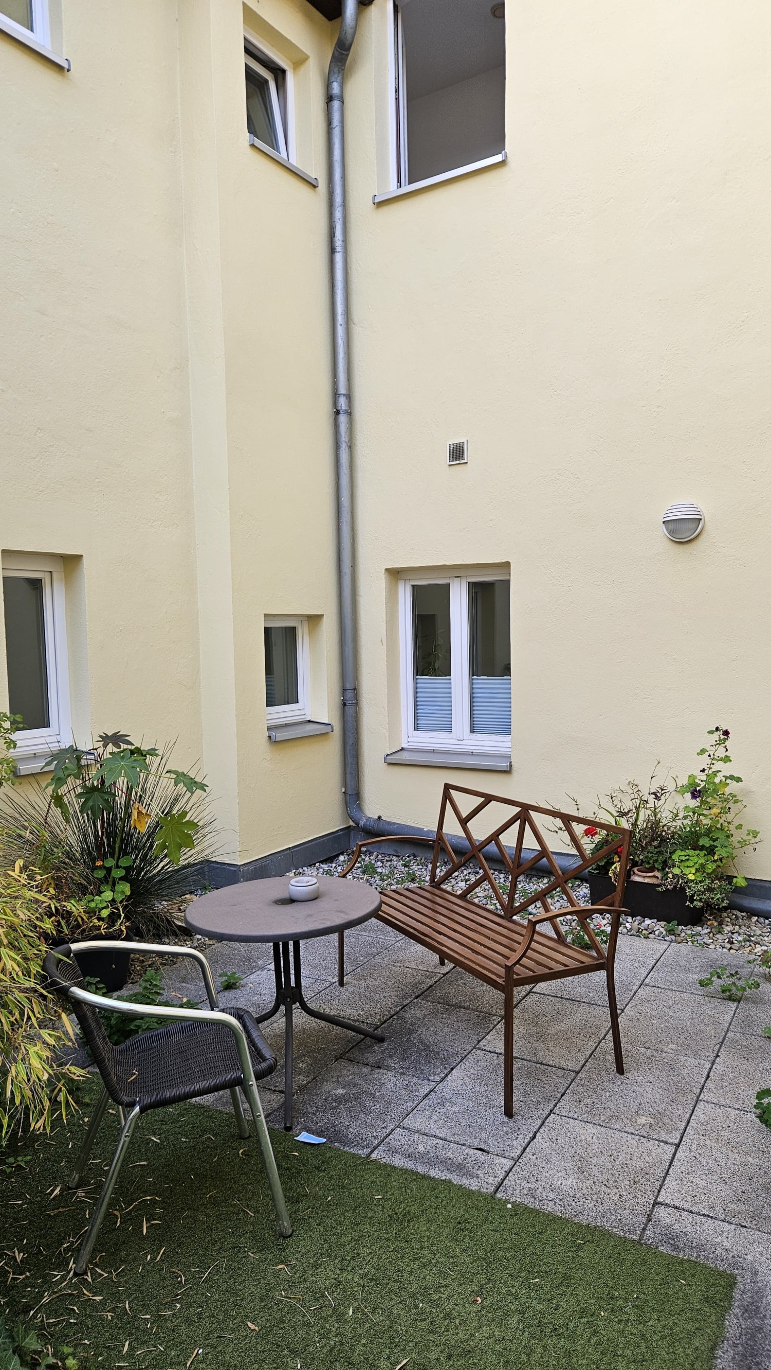 WhatsApp Image 2024-11-05 at 14.53.59.jpeg