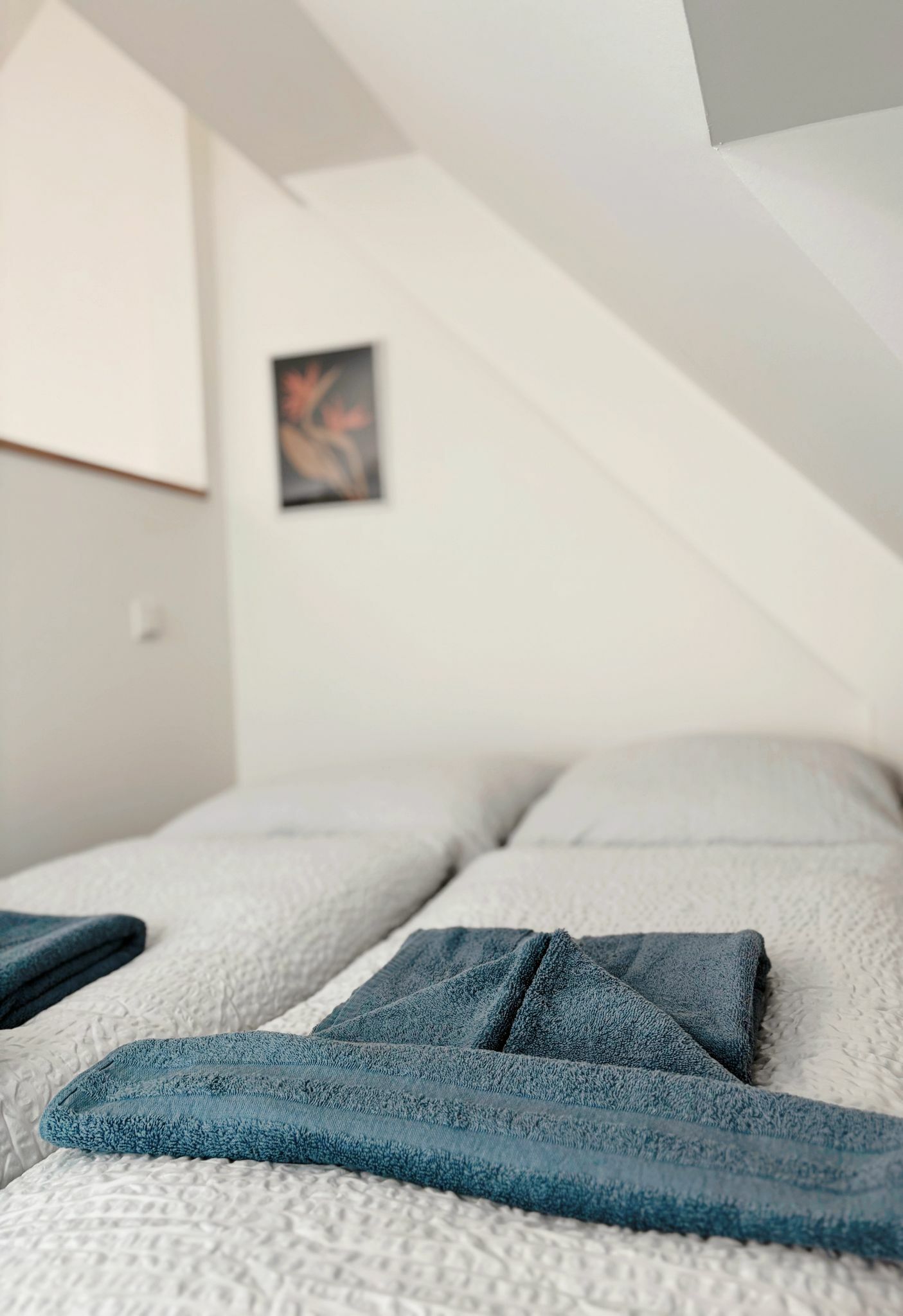 WhatsApp Bild 2025-03-10 um 16.35.12_f770befe.jpg