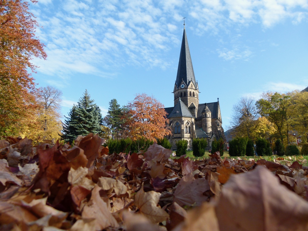 Kurpark Thale 11.jpg