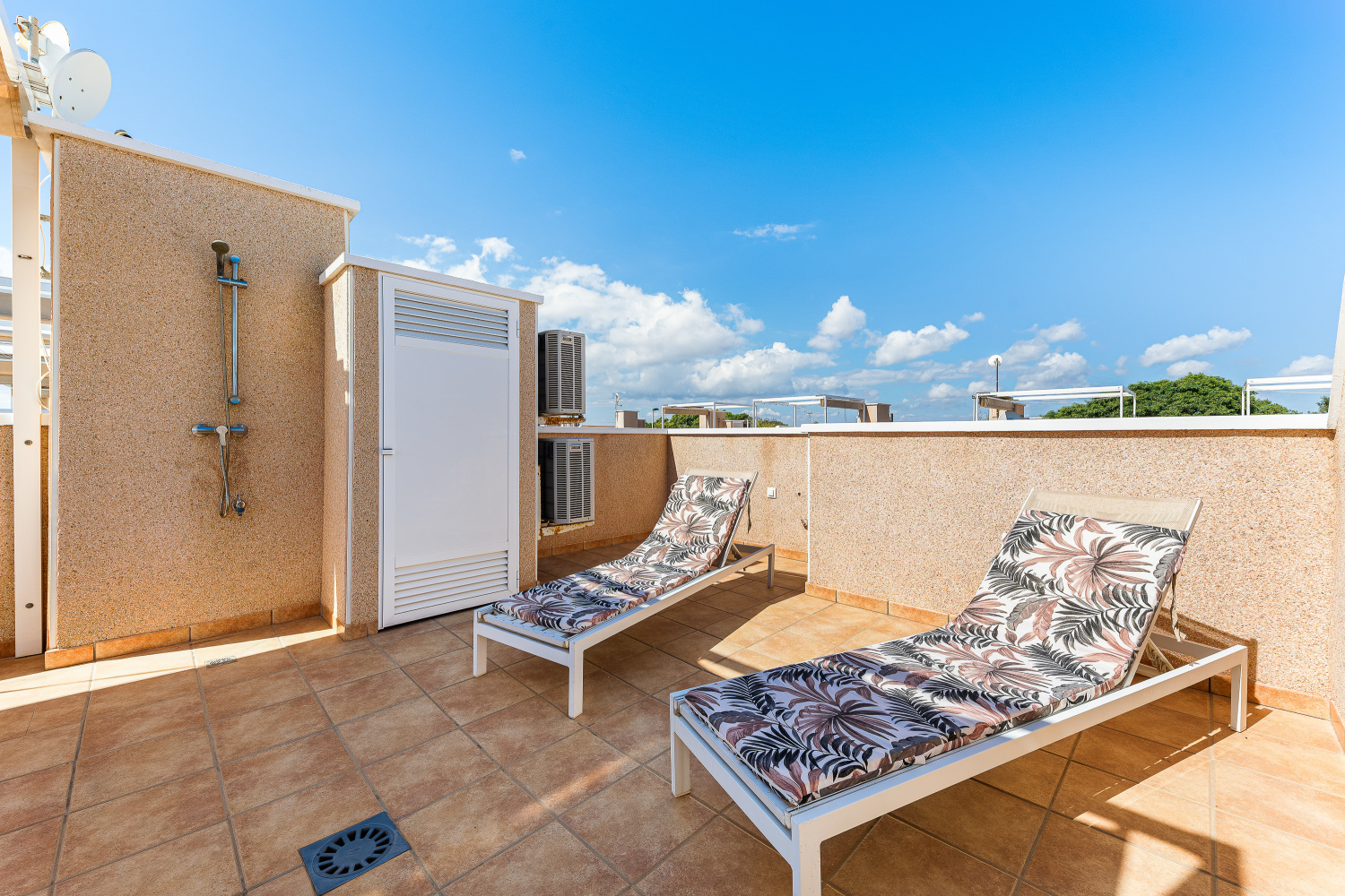 Gladiolo 52 - Pilar de Horadada (28).jpg