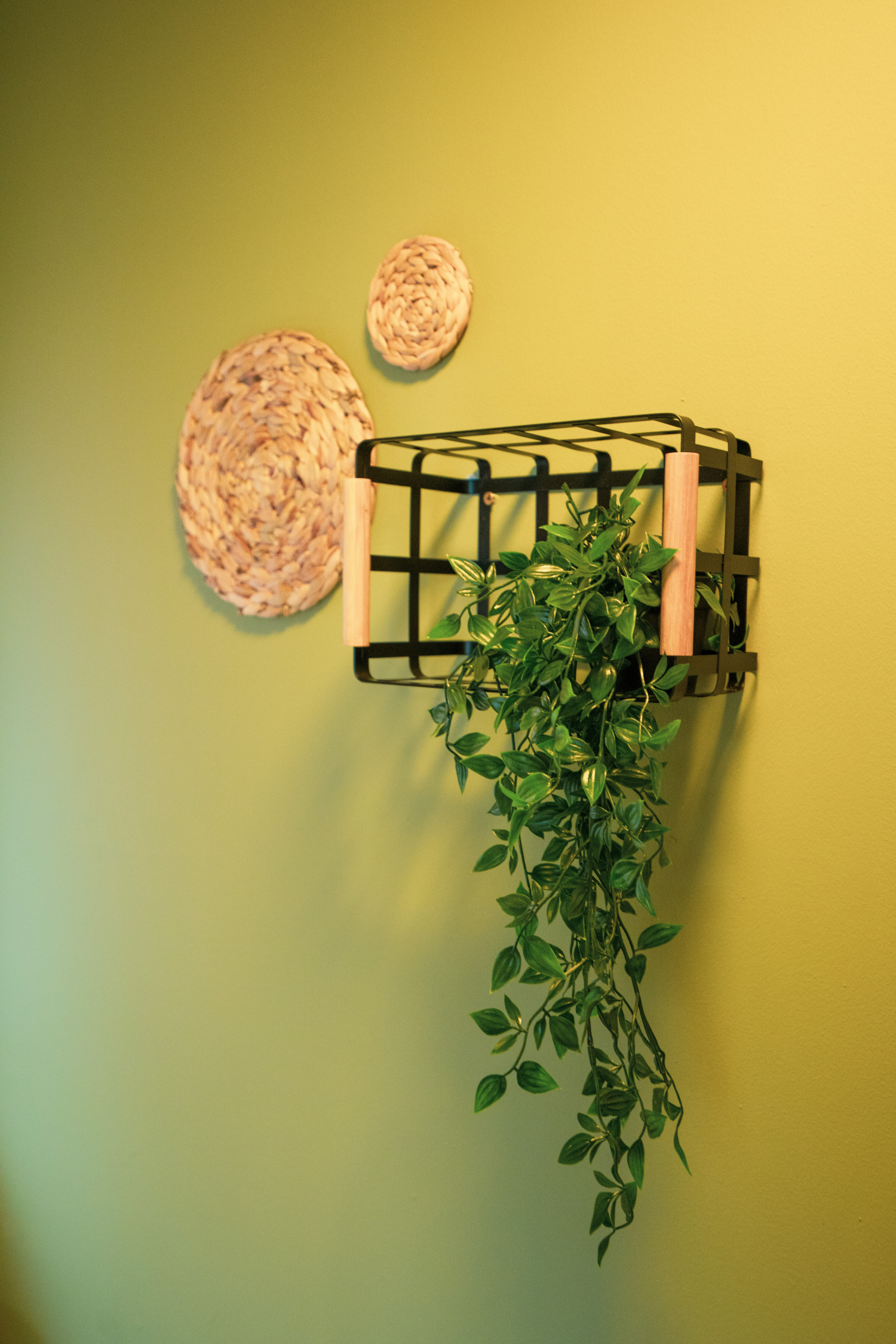 Alaa - 42 Oak Tree Drive Photos (37 of 238).jpg