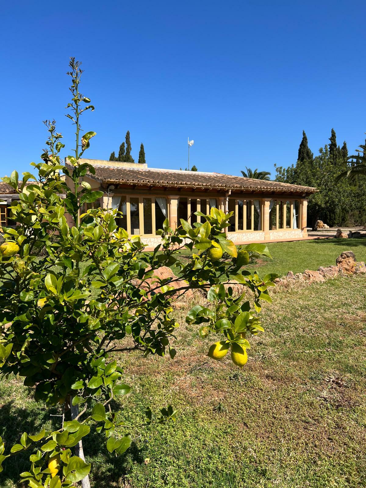 WhatsApp Image 2026-01-16 at 13.58.16.jpeg