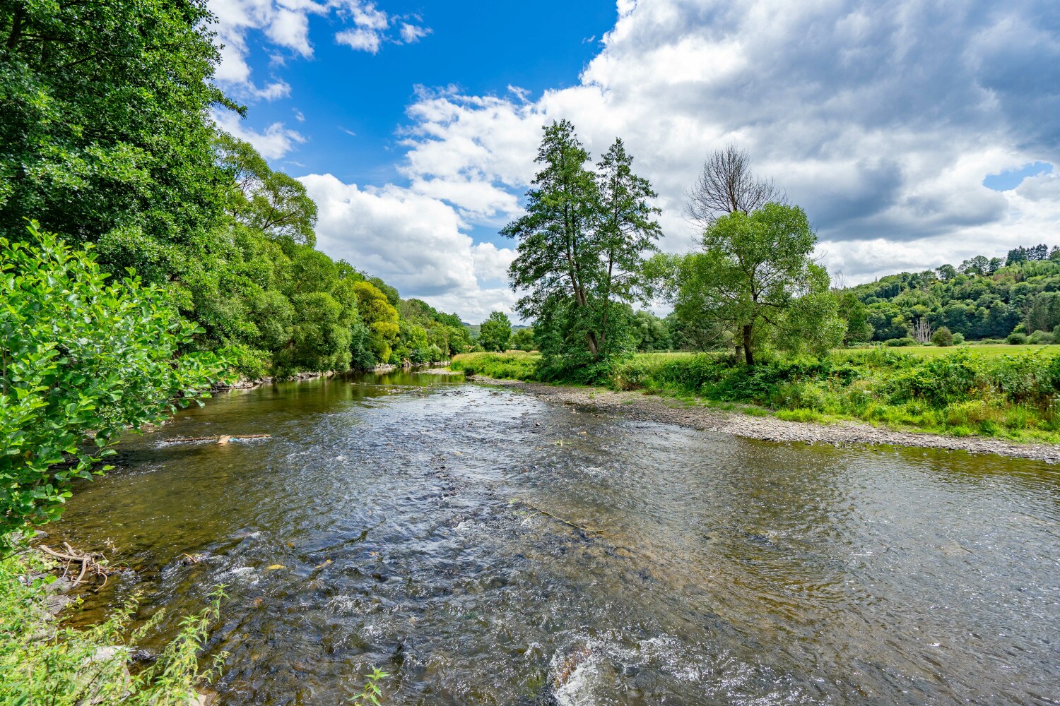 Marcourt web-04989.jpg