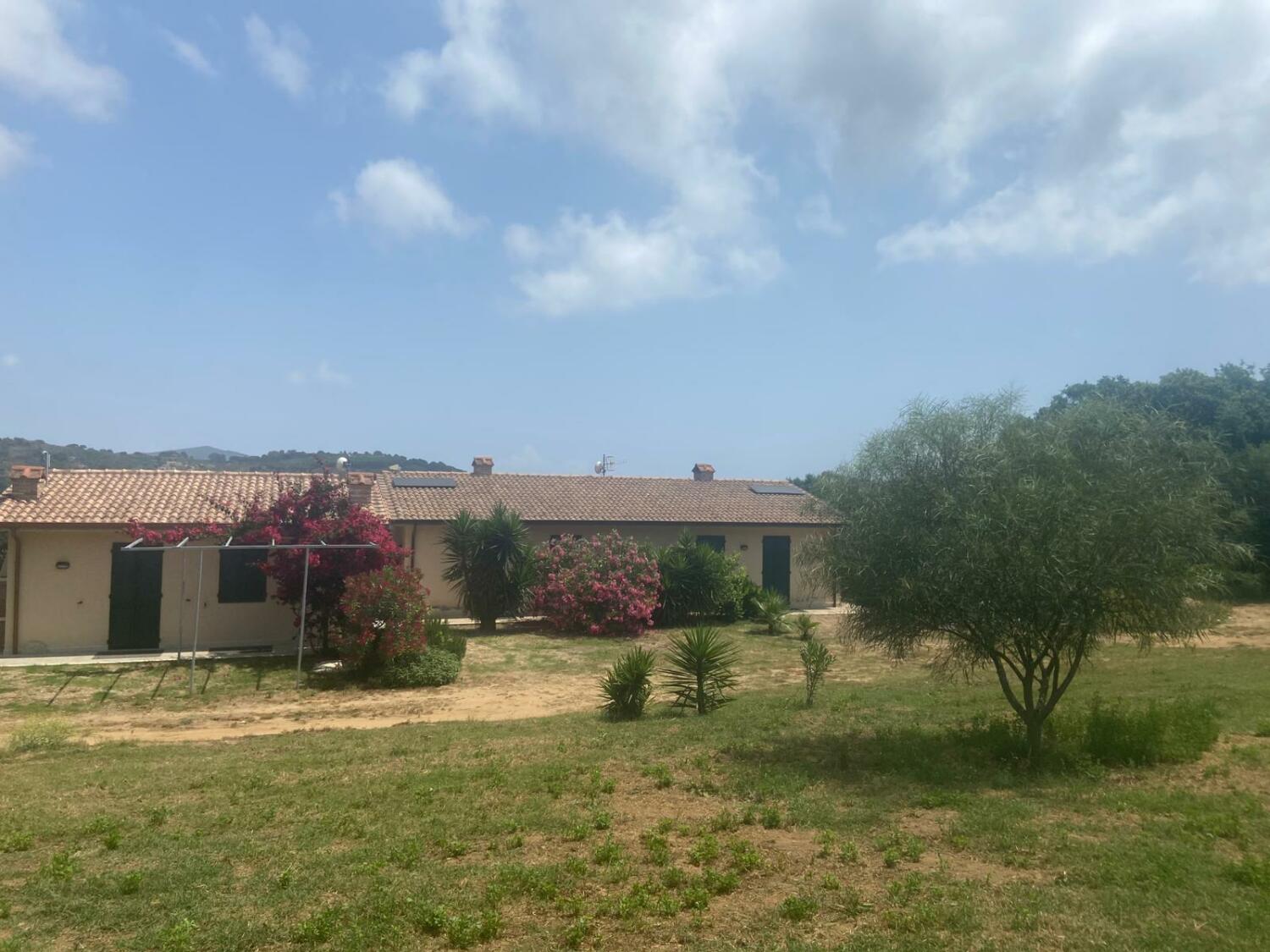 WhatsApp Image 2025-06-08 at 09.52.30 (3).jpeg