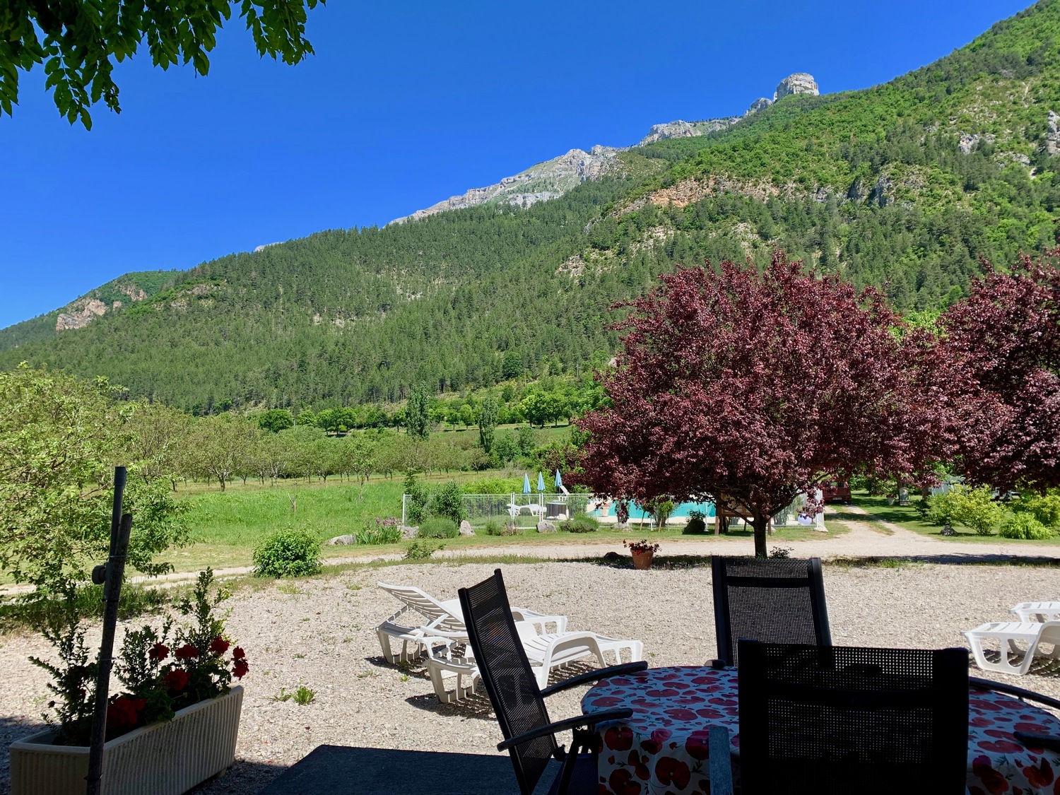 2019-06-08 12.15.04.jpeg