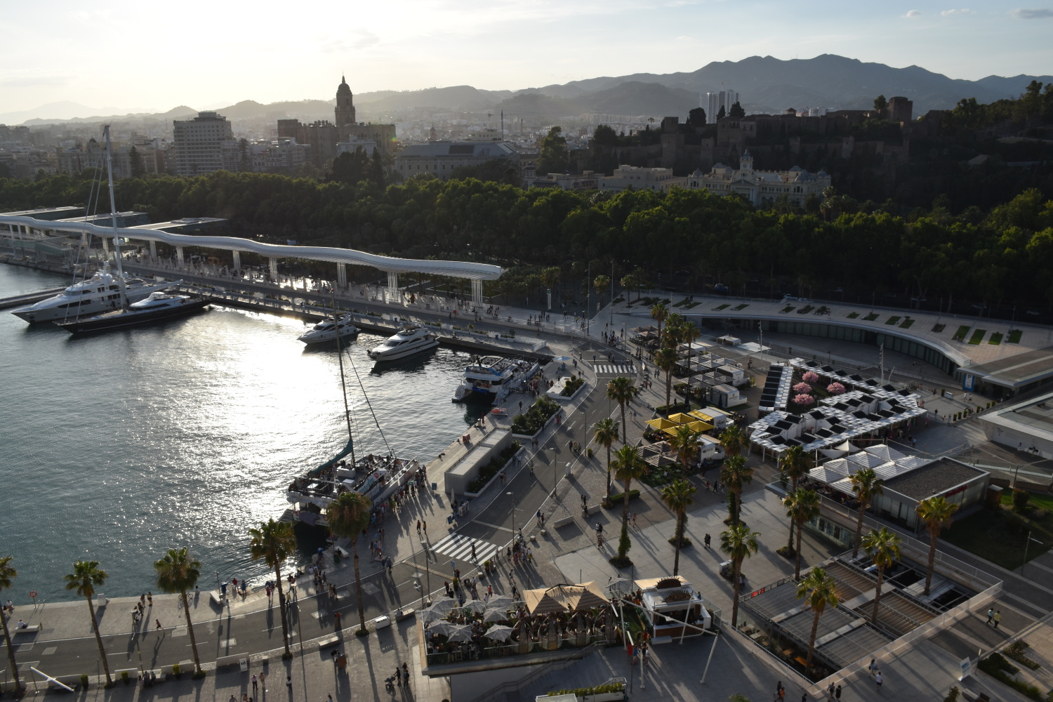 2023-06-11 19.24.44.jpg