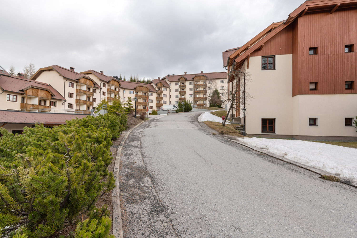 Colli_Kanzelhöhe 2410_13.JPG