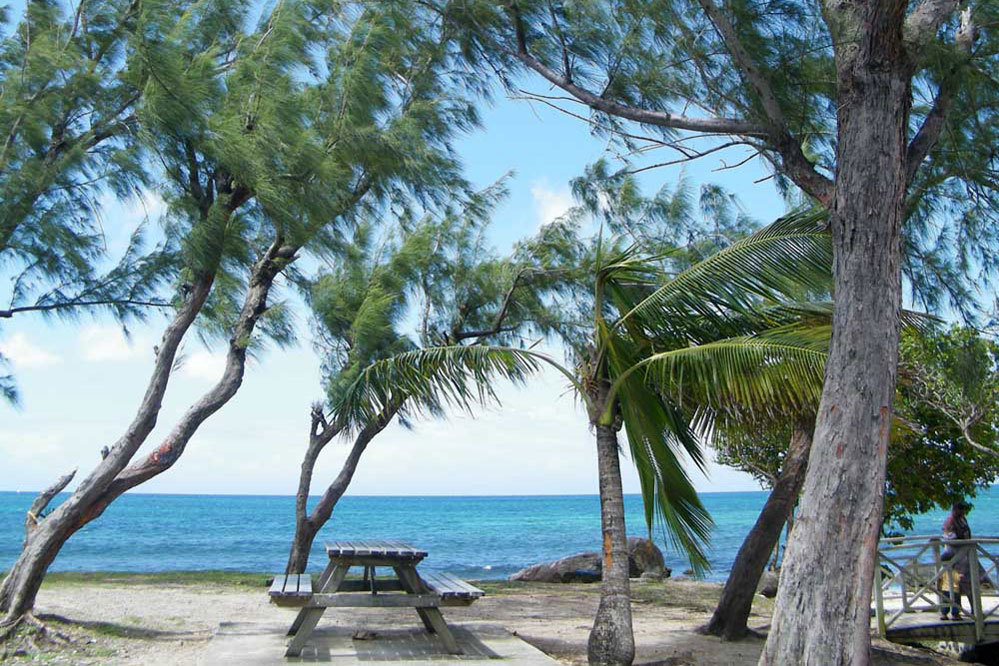 RDC Goyavier (31).jpg