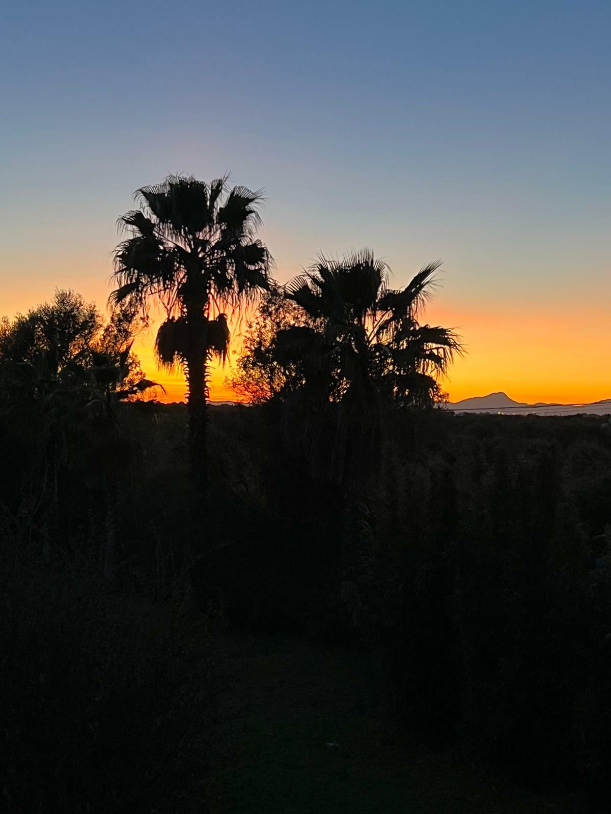 WhatsApp Image 2026-01-16 at 13.58.48.jpeg