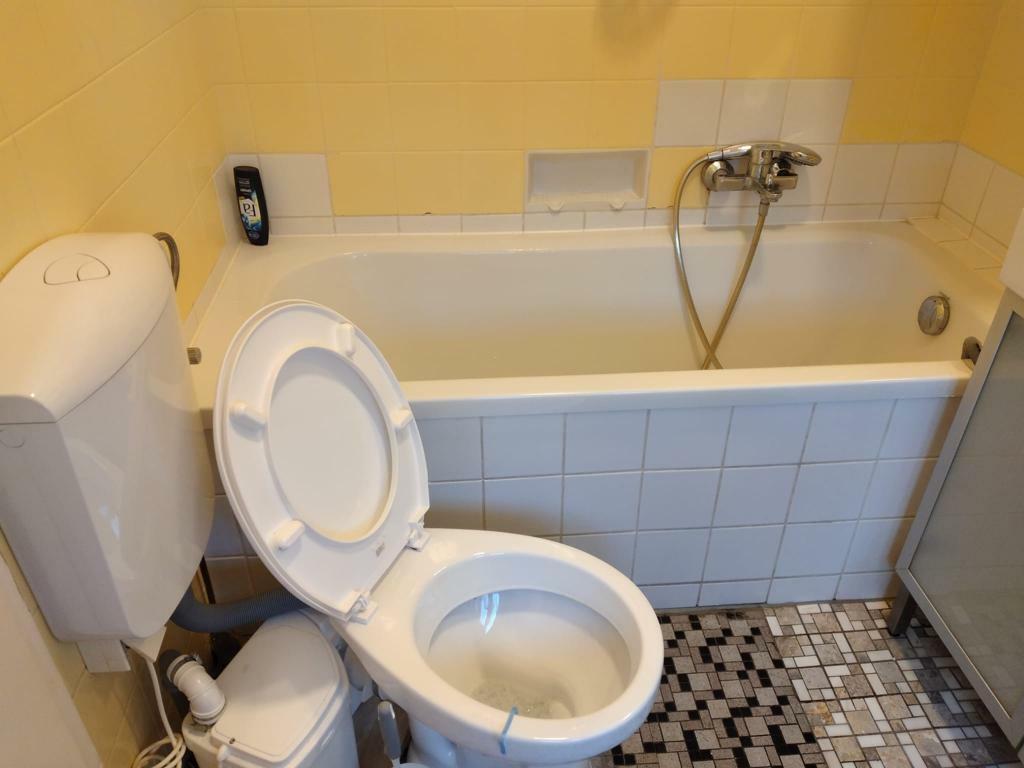 WhatsApp Image 2023-04-24 at 09.13.19.jpeg