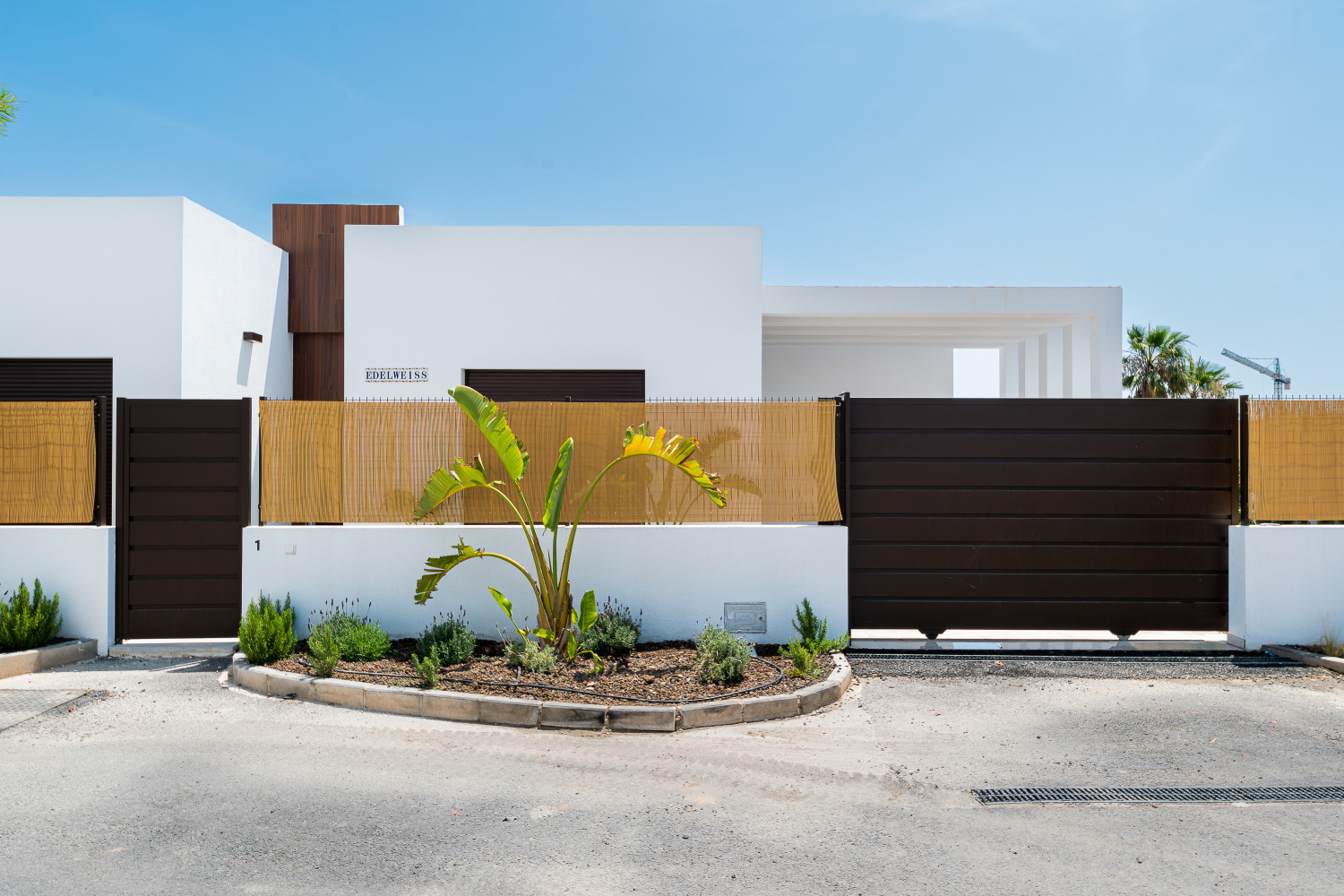 Los Alcazeres-Sunrise (53).jpg