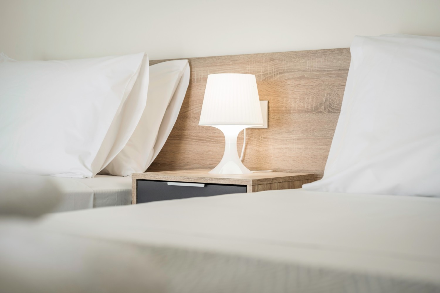 Kater2019-135 (1).jpg