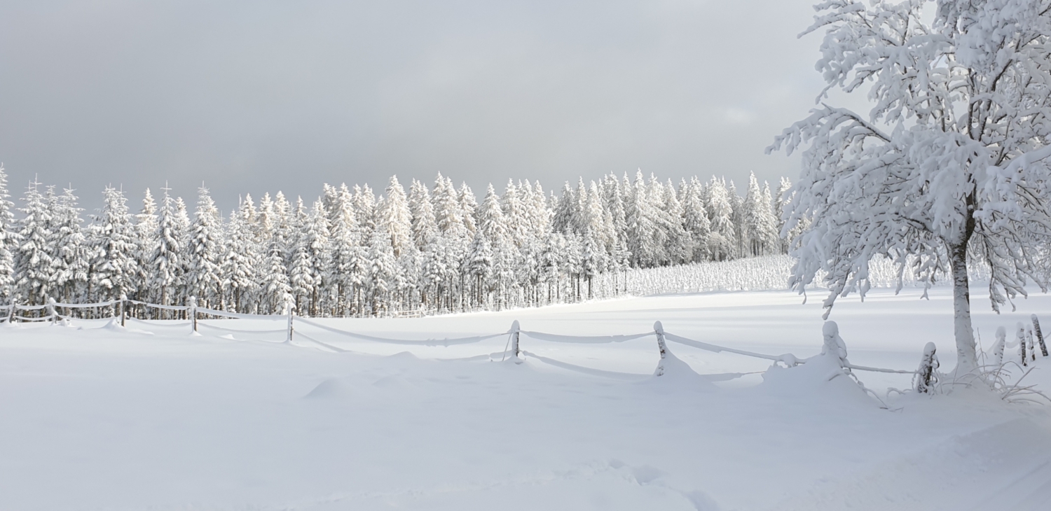 Winterlandschaft umgebung (4).jpg