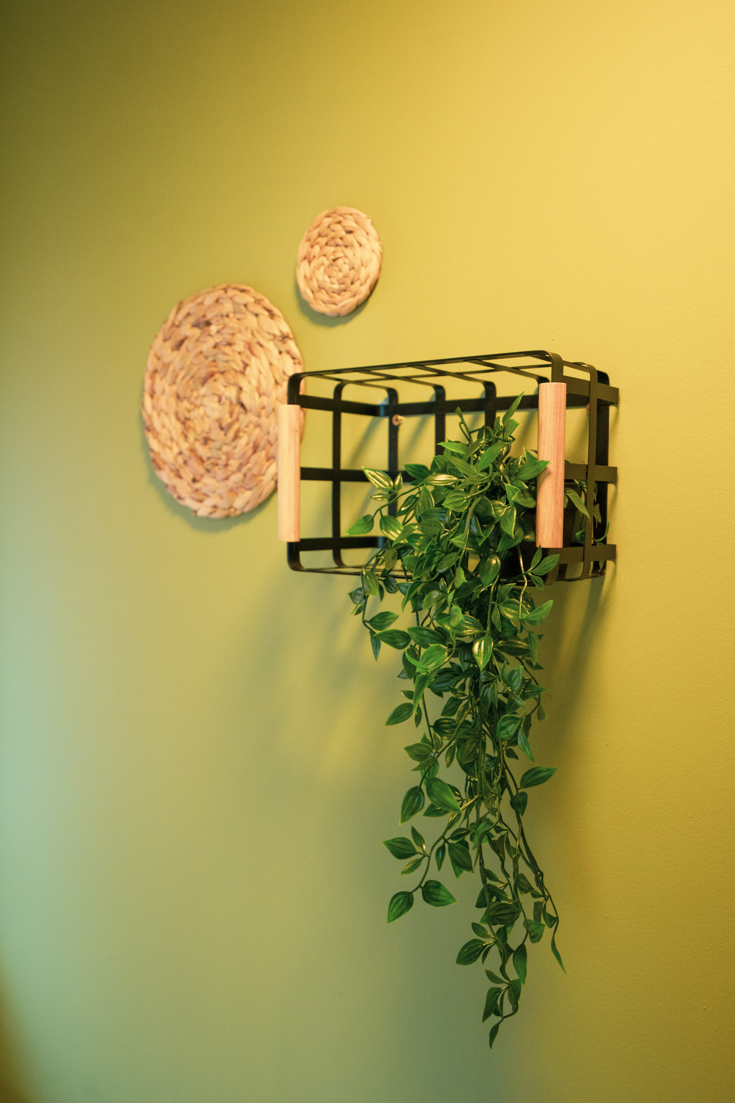 Alaa - 42 Oak Tree Drive Photos (36 of 238).jpg