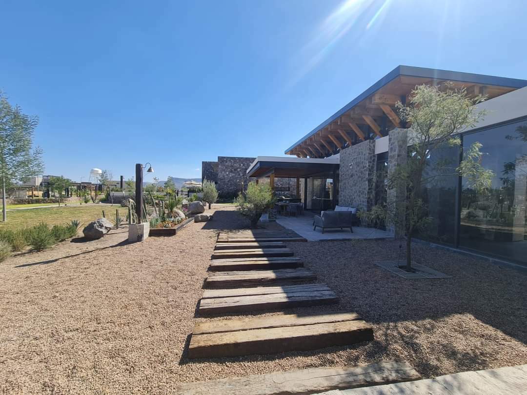 WhatsApp Image 2024-02-11 at 10.32.29 AM.jpeg