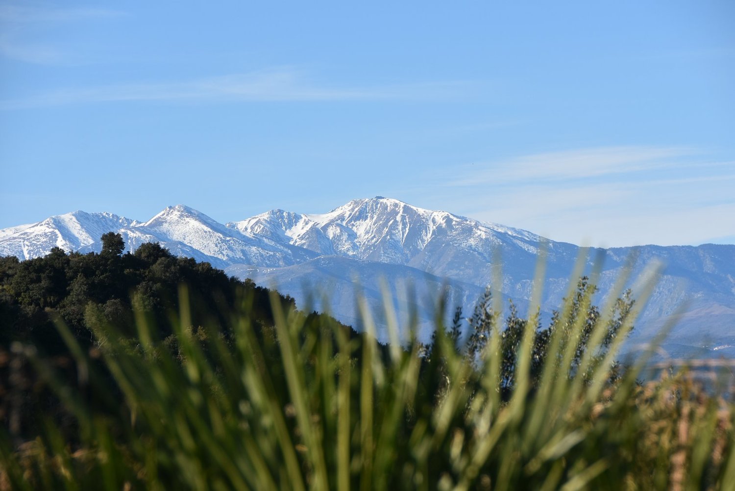 Canigou.jpg