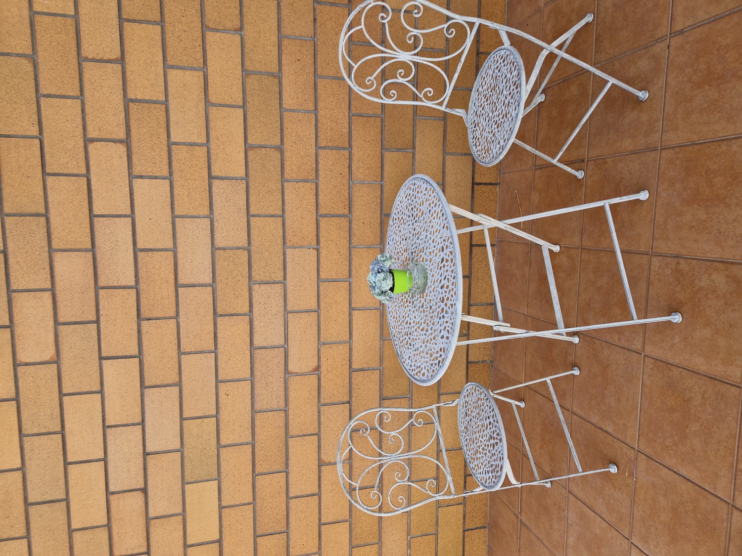 20230330_175741 - Cópia.jpg